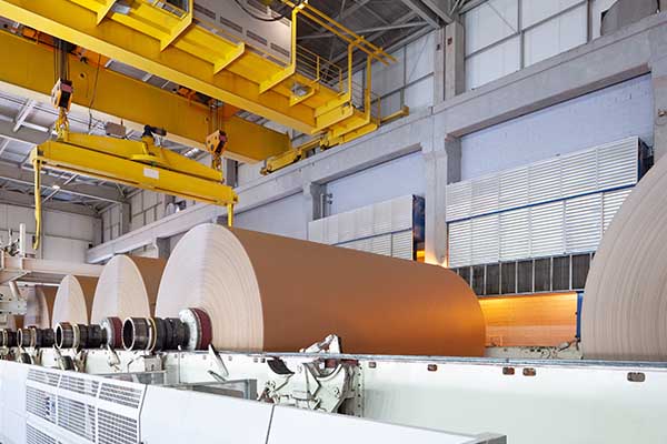 Paper & Pulp Industry